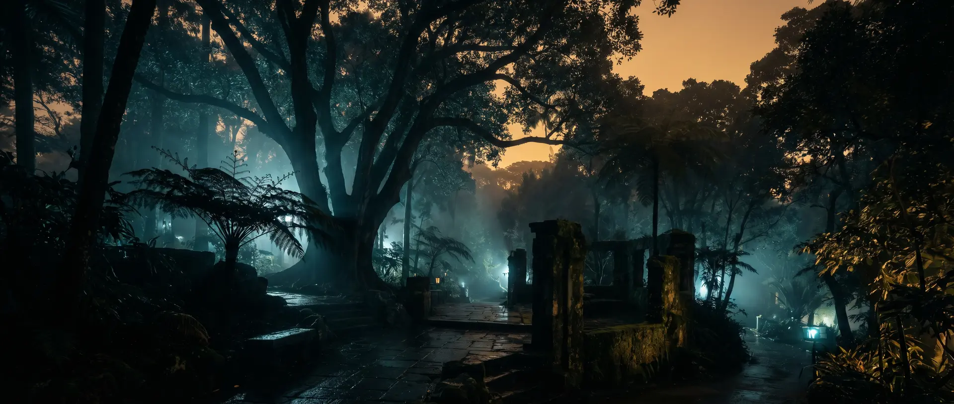 蘑菇视频植物生态学教父视频